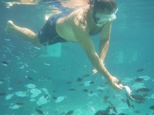 Orsa Maggiore - Pescaturismo - Parco Asinara